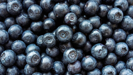 Fresh Organic Blueberries Background Close Up Shot © erna