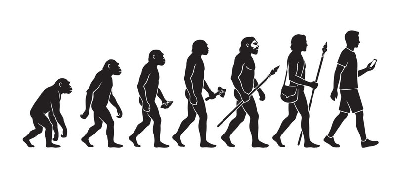 human evolution from ape silhouette