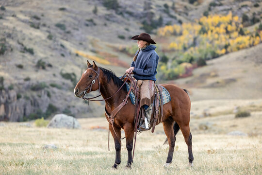 Wyoming Ranch Cowgirl with AQHA Quarter Horse 