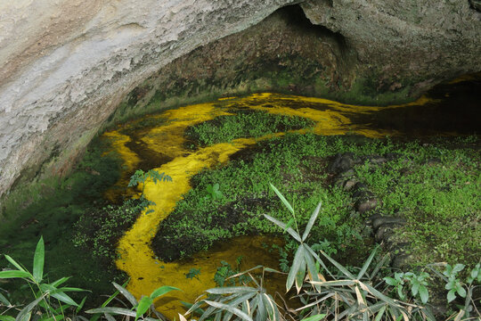 冷鉱泉がある半洞窟内の水溜まりの光景（日本宮城県七ヶ浜町）