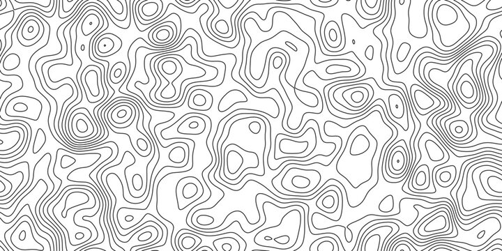 Topographic contour lines in a grayscale pattern representing elevation and terrain, suggesting scientific data or cartography.