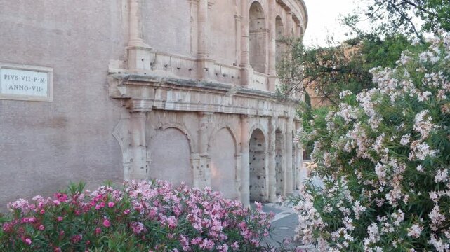 Blooming Oleander Flowers Framing the Ancient Colosseum in Rome