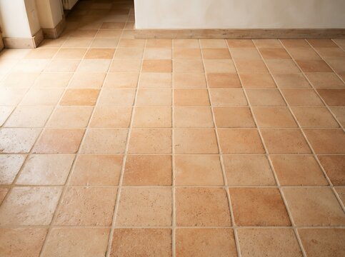 Warm Terracotta Floor Tiles with Natural Light.