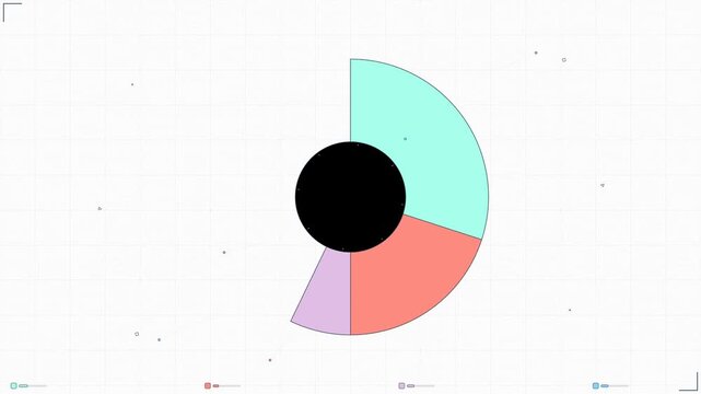 Budget Allocation Radial Progress Financial Planning Animation
