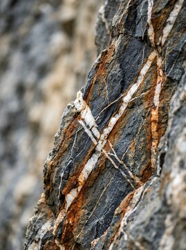 Close-up of a textured rock face with mineral veins.