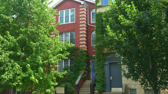 A classic brick house covered with green ivy stands along a quiet residential street with trees and parked cars. The scene captures traditional urban architecture with natural greenery and summer