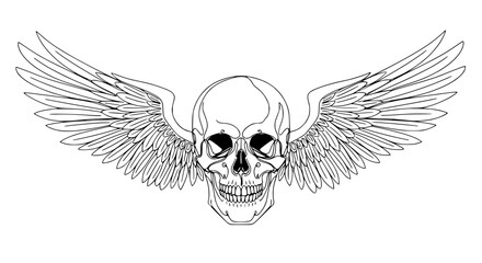 Fototapeta premium Winged Skull Outline Vector Art