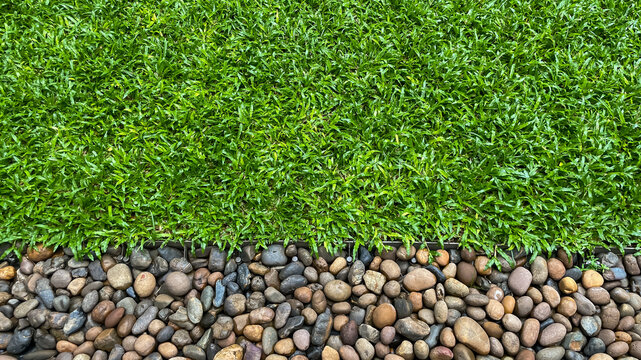 An overhead view of a green lawn and decorative river pebbles separated by a metal border. A natural backdrop with copy space for landscape design and landscaping.