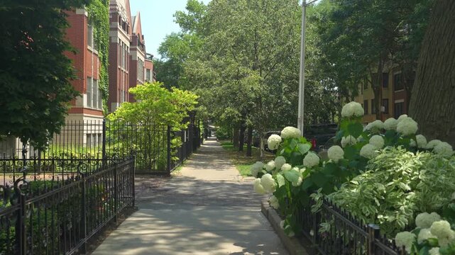Peaceful sidewalk lined with trees, white flowers, and iron fences in a residential neighborhood. Sunlight creates soft shadows along the walkway surrounded by greenery and homes.