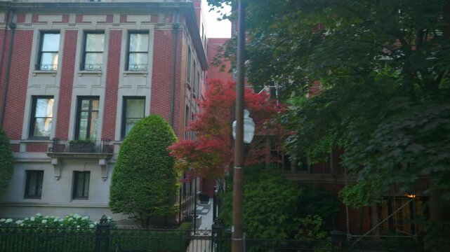 A residential brick building partially hidden by lush green trees and landscaped plants in an urban neighborhood. The scene shows a quiet city living area with natural greenery and classic