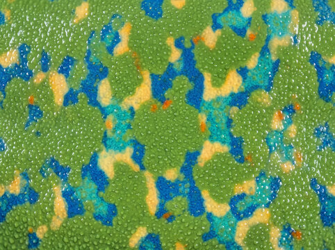 Close-up red-eyed tree frog skin texture with vivid green, blue, yellow and orange markings, creating a colorful tropical amphibian pattern for backgrounds and design.
