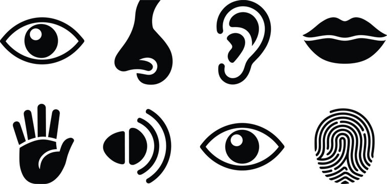 Human senses silhouette vector set with eye nose ear lips hand fingerprint and sound icons