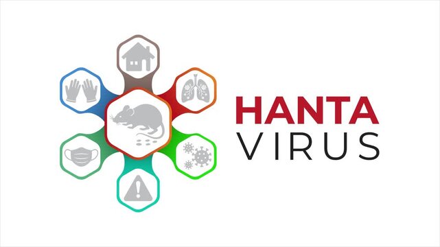 Animated hantavirus awareness banner design with with healthcare icons and clean infographic motion.