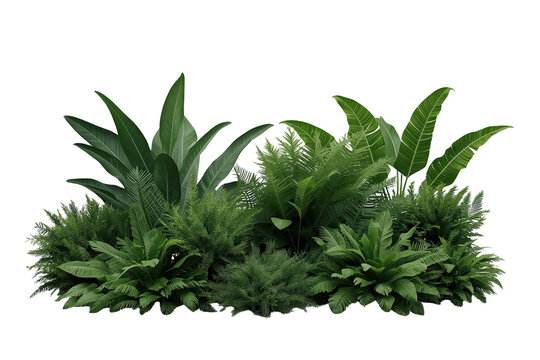 Low dense tropical foliage garden border