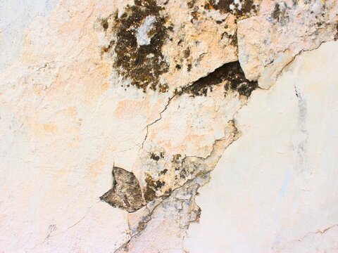 Cracked wall paint with mold damage close up for building maintenance, home renovation, damp moisture repair, and property inspection concept.