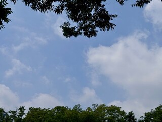Fototapeta premium Blue Sky with cloud