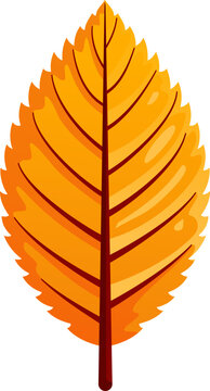Detailed golden yellow autumn leaf vector icon, isolated fall foliage with visible veins