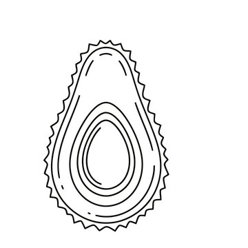 Avocado half with pit illustration