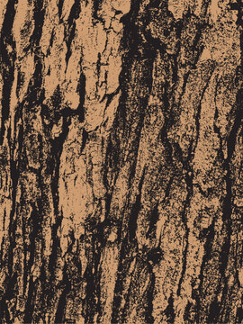 Grunge tree bark texture vector illustration design