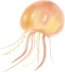jellyfish © bogyeong