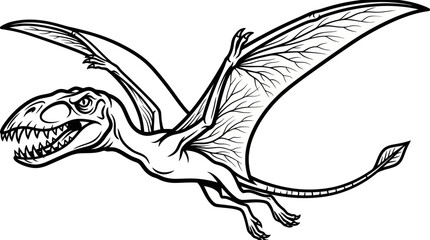 Pterodactyl in flight black and white line art illustration. © ombg