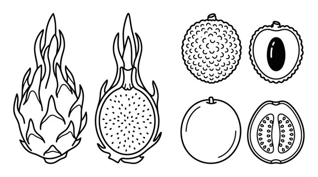 Tropical fruits featuring dragon fruit, lychee, and guava.