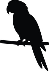 Fototapeta premium Parrot icon Silhouette Vector black design on a white background