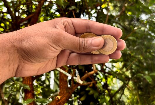 Hand Holding Indian Rupee Coins Against Nature Background, Personal Finance, Savings, Inflation, Economic Growth, Currency and Investment Concept