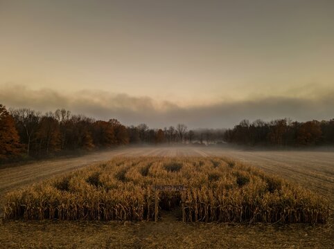 A spooky haunted corn maze sits in a misty rural field under a moody dusk sky Halloween Wallpaper Background image