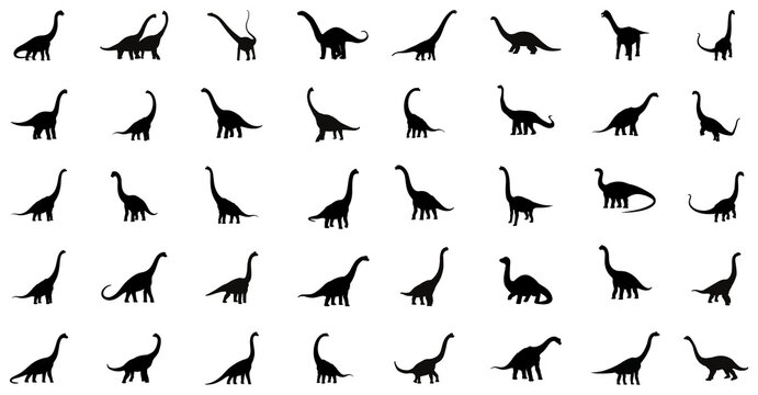 Collection of various dinosaur silhouettes isolated on a white background | Set of different long neck dinosaur silhouettes vector illustration (png file)
