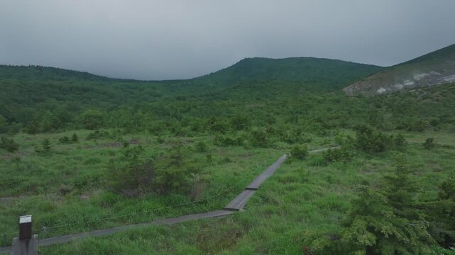 緑濃い夏の高原と木道
