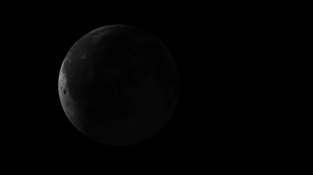 Moon Rising Behind Tree Silhouettes at Night with Dramatic Lunar Eclipse Atmosphere