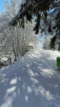 Beautiful winter landscape of a snow covered path and river with trees under bright sunlight in Switzerland