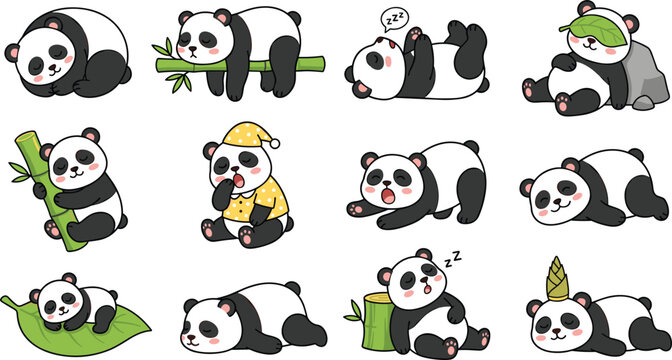 Cute panda cartoon vector illustration collection featuring sleeping, rolling, hugging bamboo, relaxing and playful bear character poses isolated on white background