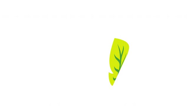 Single yellowish green autumn leaf drifting gently through air Prores Alpha 4K 60 fps