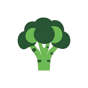 Fresh Green Broccoli Vegetable Floret Flat Vector Illustration