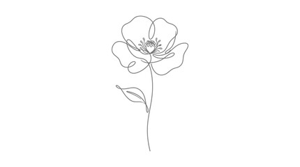 Obraz premium Minimalist single line drawing of a delicate flower