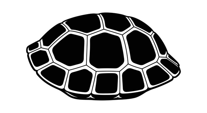 Turtle Shell Vector Illustration