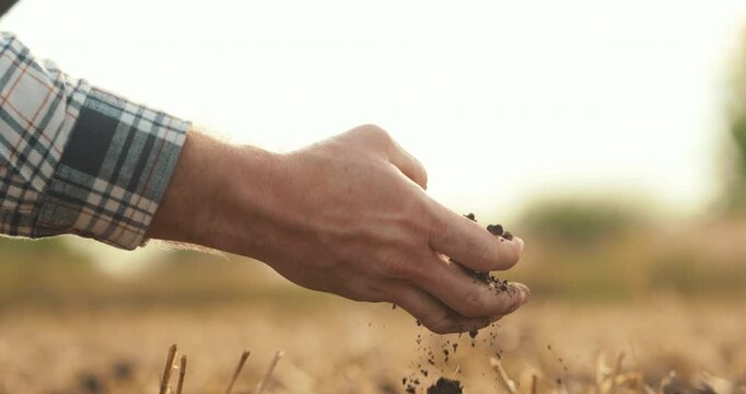Close-up of a farmer letting fertile soil fall through his fingers in a harvested field. Concept of soil quality assessment, sustainable agriculture, healthy farmland, and precision farming practices 