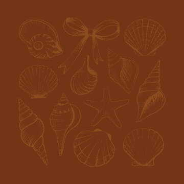 Stylized illustration of three marine elements. a scallop shell, a starfish, and a spiral shell, each tied with a ribbon bow. Isolated ocean elements suitable for logos, patterns, packaging, stationer