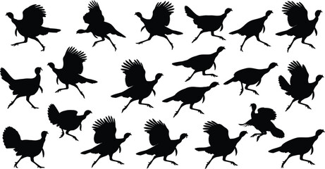 Obraz premium A comprehensive thanksgiving turkey bundle featuring various black silhouettes of wild birds in motion isolated on a clean white background for design