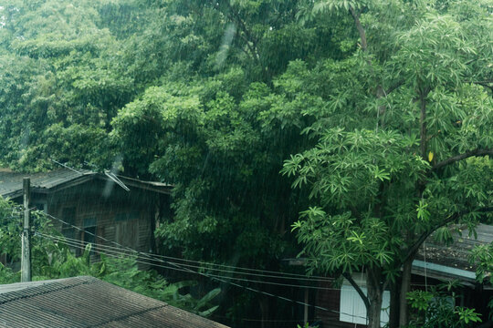 Cozy Wooden Cabin Surrounded by Trees During Heavy Rain Storm