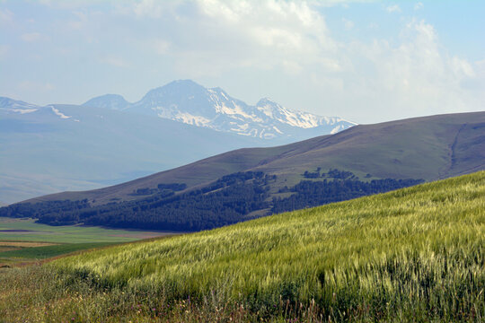 Beautiful mountain landscape with green grass and blue sky. Scenic landscape with green meadows, rolling hills, and snowy mountains in the background under a blue sky with white clouds