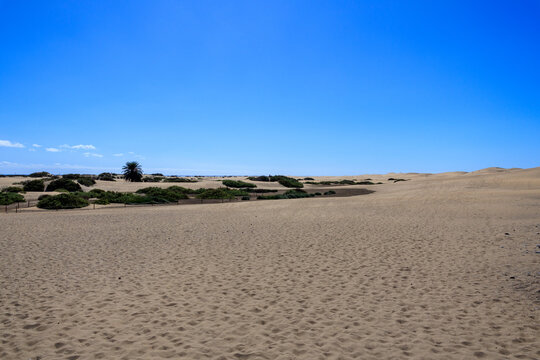 Panorama view of Maspalomas Dunes with footprints on Canary Island Gran Canaria, Spain