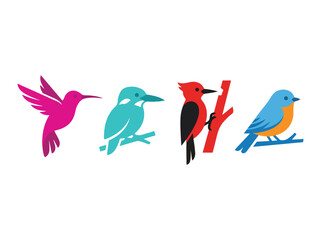 Fototapeta premium Colorful collection of four different bird illustrations showcasing vibrant feathers and unique poses on a plain