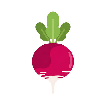 Fresh Red Radish Vegetable with Green Leaves Flat Vector Illustration Isolated