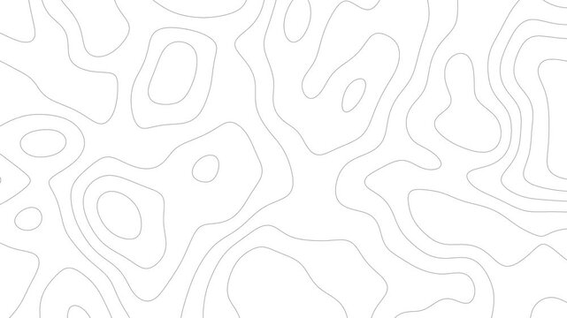 Abstract Topographic Contour Lines Motion Background with Minimal White Terrain Map Seamless Loop Animation