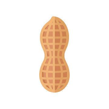 Whole Peanut Shell Nut Flat Vector Illustration Isolated on White Background
