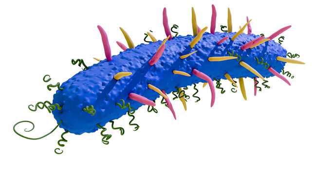 Blue rod-shaped bacterium with pink and yellow spikes, isolated on transparent background