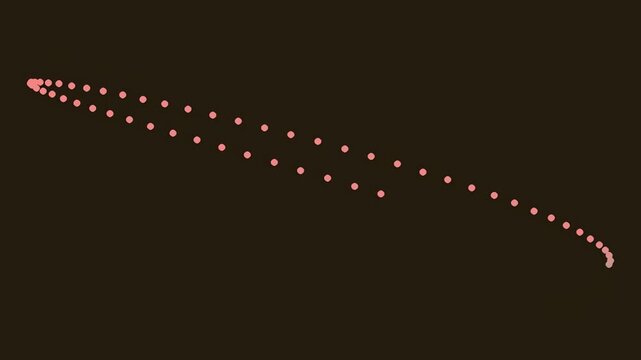 Minimalist Digital Abstract Representation Featuring Two Parallel Dotted Trajectories Creating Elliptical Motion Against A Solid Dark Background